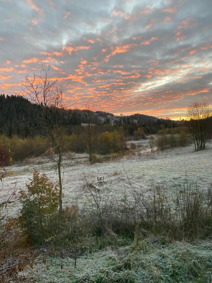 Pokoje Goscinne Pod Jaworem - Obok Pieknego Szlaku Wzdluz Rzeki Bialka, 1Km Do Stokow Kotelnica ภายนอก รูปภาพ