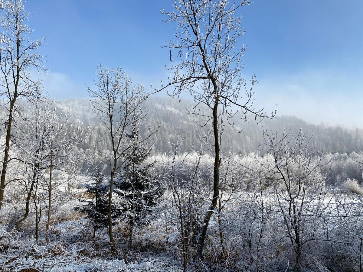 Pokoje Goscinne Pod Jaworem - Obok Pieknego Szlaku Wzdluz Rzeki Bialka, 1Km Do Stokow Kotelnica ภายนอก รูปภาพ