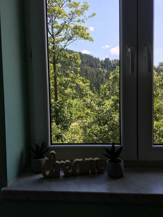 Pokoje Goscinne Pod Jaworem - Obok Pieknego Szlaku Wzdluz Rzeki Bialka, 1Km Do Stokow Kotelnica ภายนอก รูปภาพ